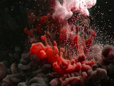 Abstract creative flow with vibrant lime colors